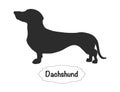 Dachshund Vector isolated silhouette on white backdrop